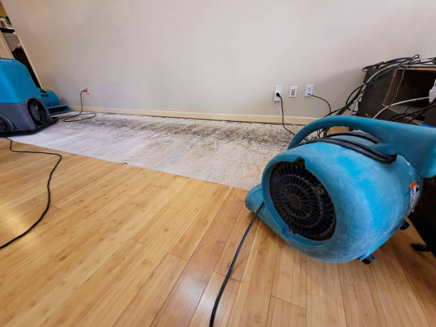 Professional Basement Flood Cleanup technician working in Prescott Valley, AZ